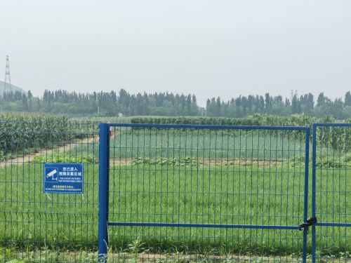 省直保供基地