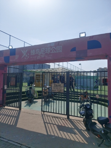 蜂鸟足球公园