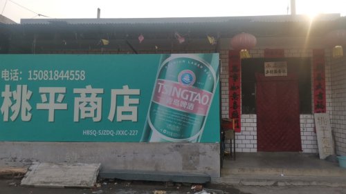 朱会村桃平商店