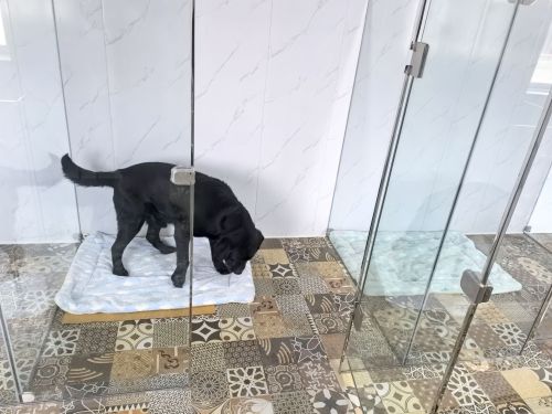 宠物客栈