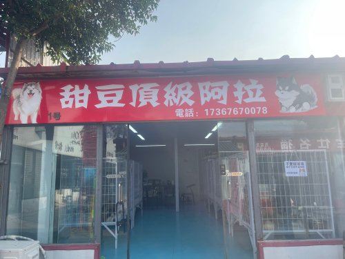 甜豆顶级雪橇