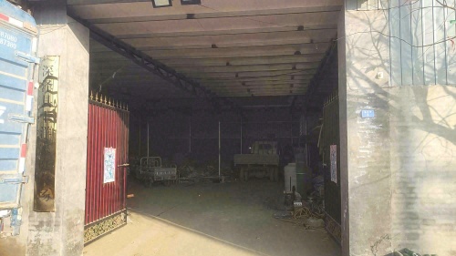 深泽县王洋家庭农场