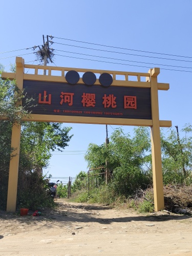 山河樱桃园