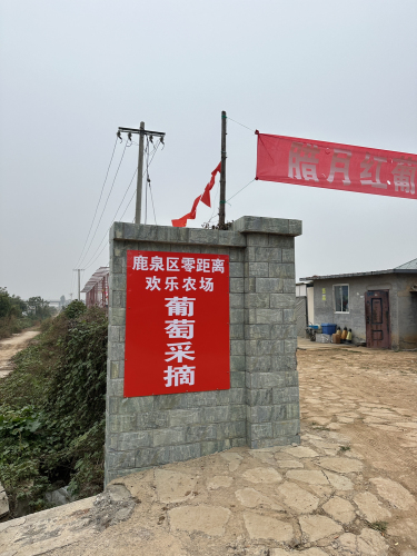 零距离欢乐农场