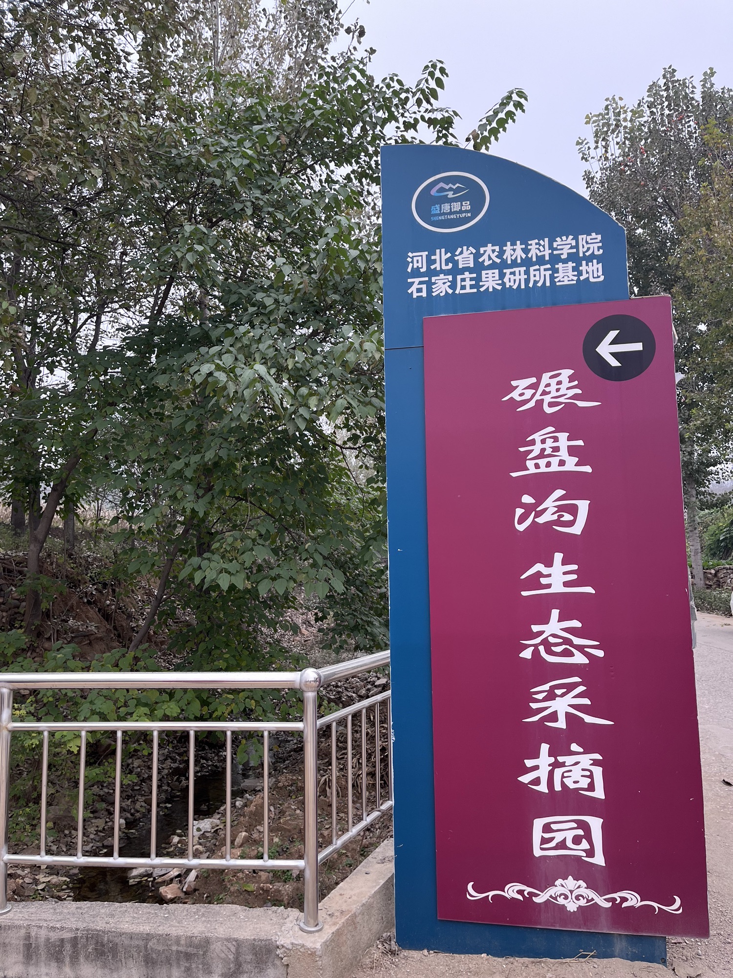 碾盘沟生态采摘园