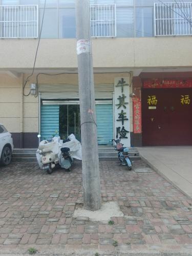 牛其车险
