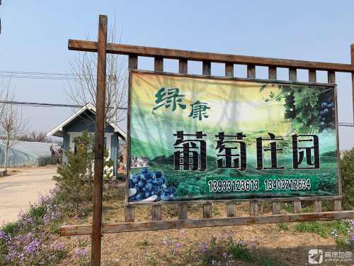 绿康葡萄采摘园