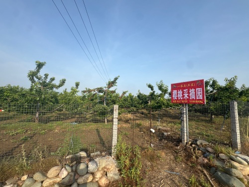 一家亲(卫东)樱桃采摘园