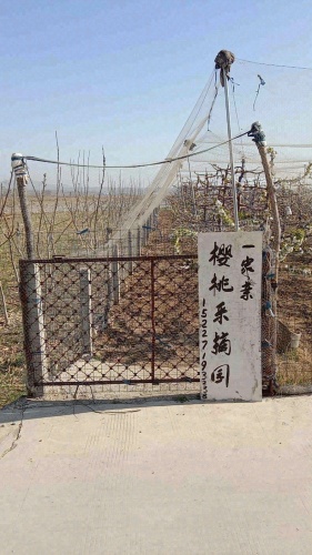 一家亲(卫东)樱桃采摘园