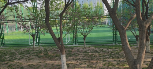 天山公园足球场