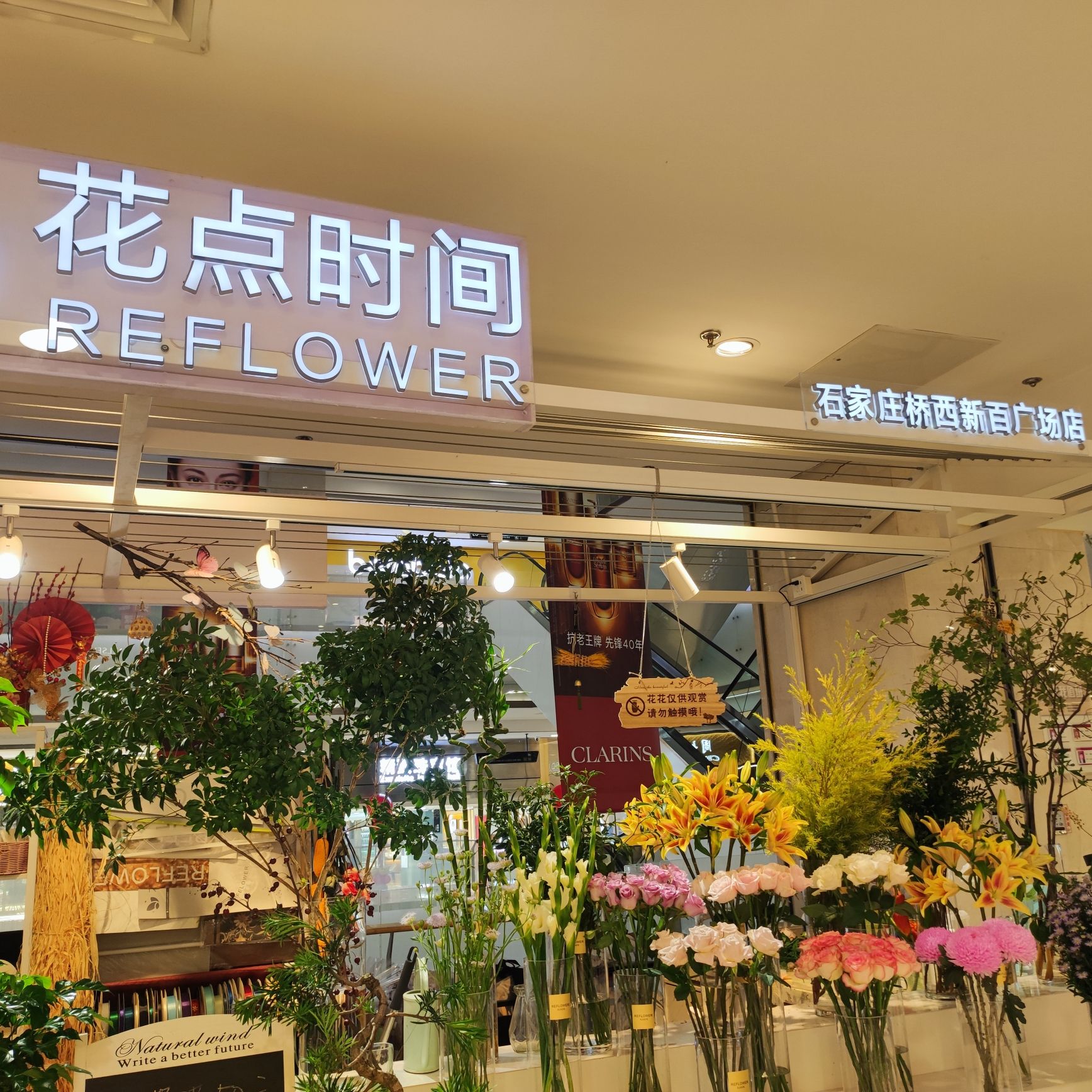 花点时间石家庄新百广场店
