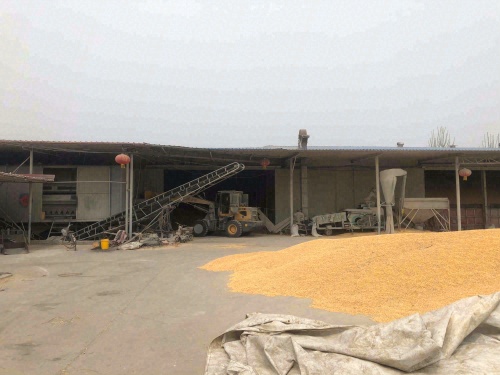 定州市楼明粮食购销有限公司