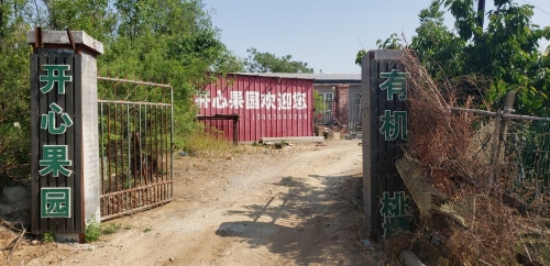 开心果园