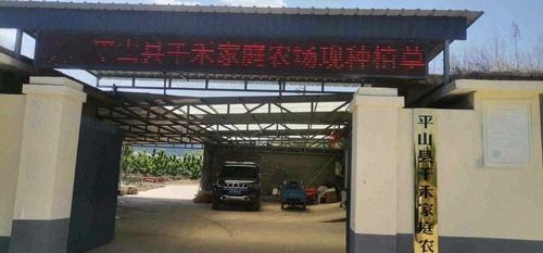 千禾家庭农场