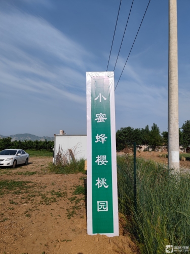 小蜜蜂樱桃采摘园