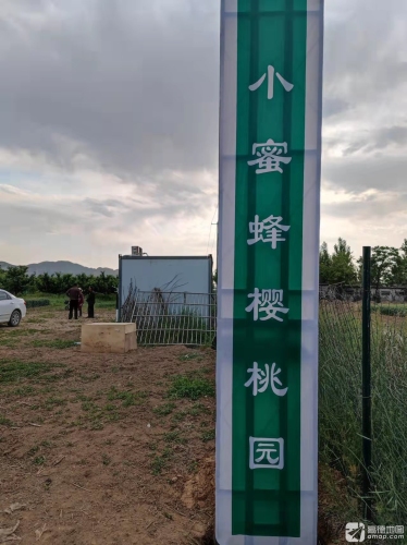 小蜜蜂樱桃采摘园
