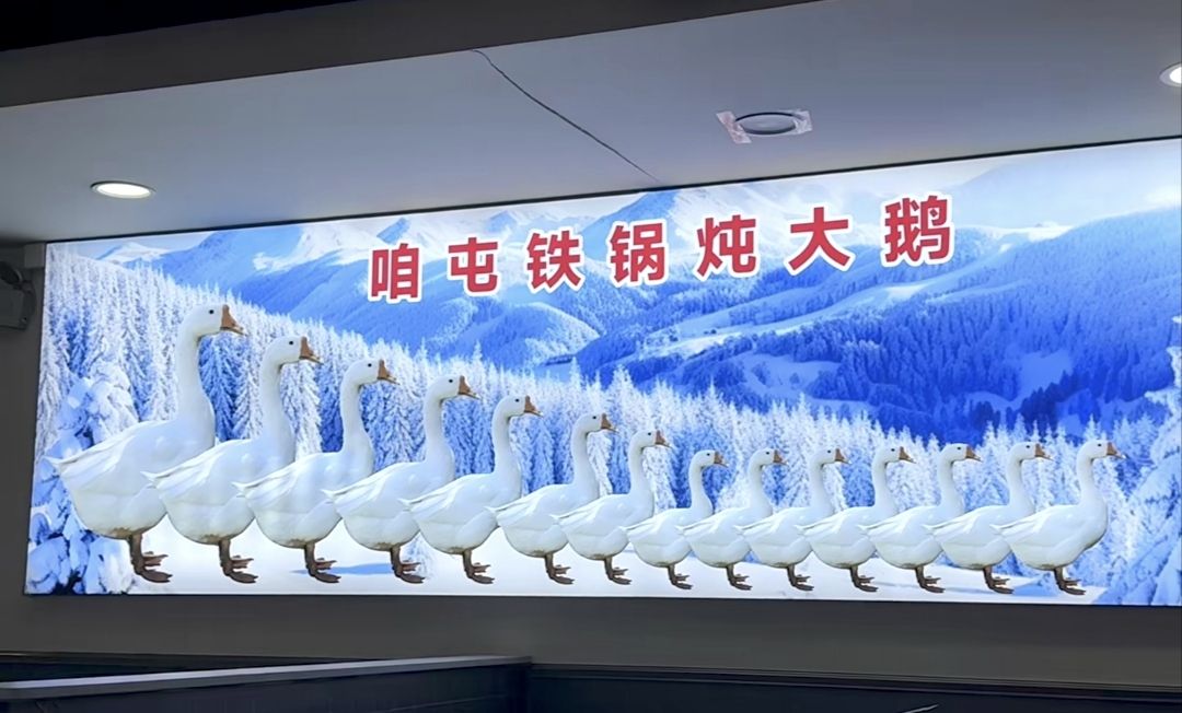 咱屯铁锅炖大鹅(留村南区店)