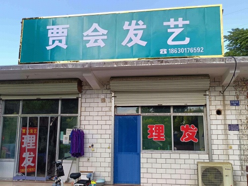 贾会发艺