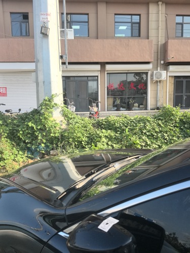 烁达文化