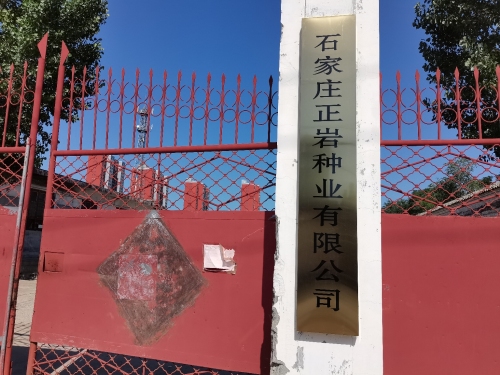 石家庄正岩种业有限公司