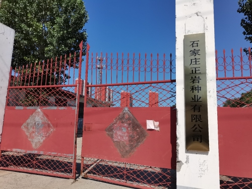 石家庄正岩种业有限公司