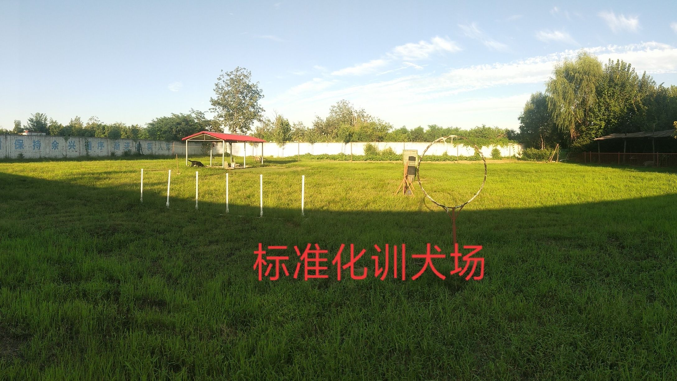 石家庄军兴犬只训练寄养基地