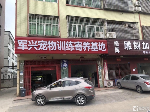 石家庄军兴犬只训练寄养基地