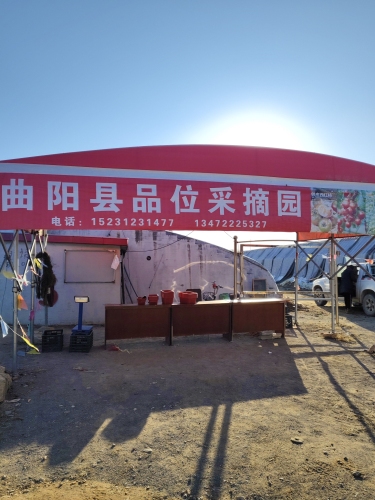 曲阳县品位采摘园