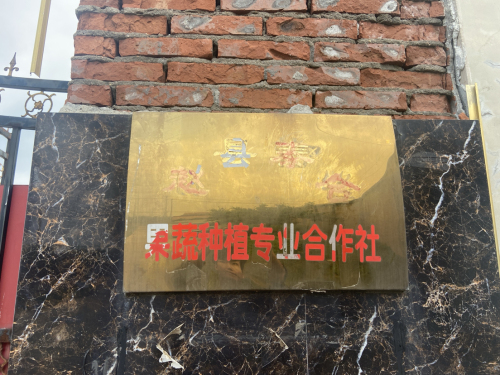 赵县泰合果蔬种植专业合作社