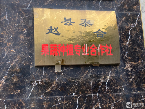 赵县泰合果蔬种植专业合作社