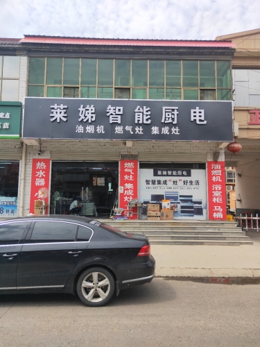 莱娣智能厨电