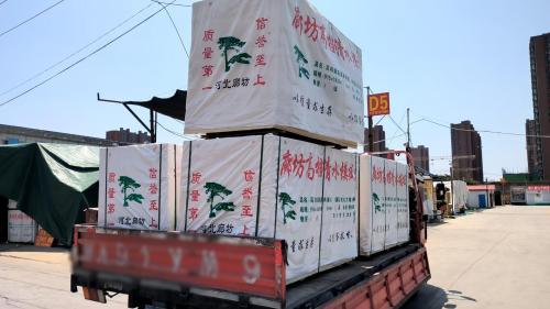 钰梓木方模板竹胶板沙干(批发零售回收)