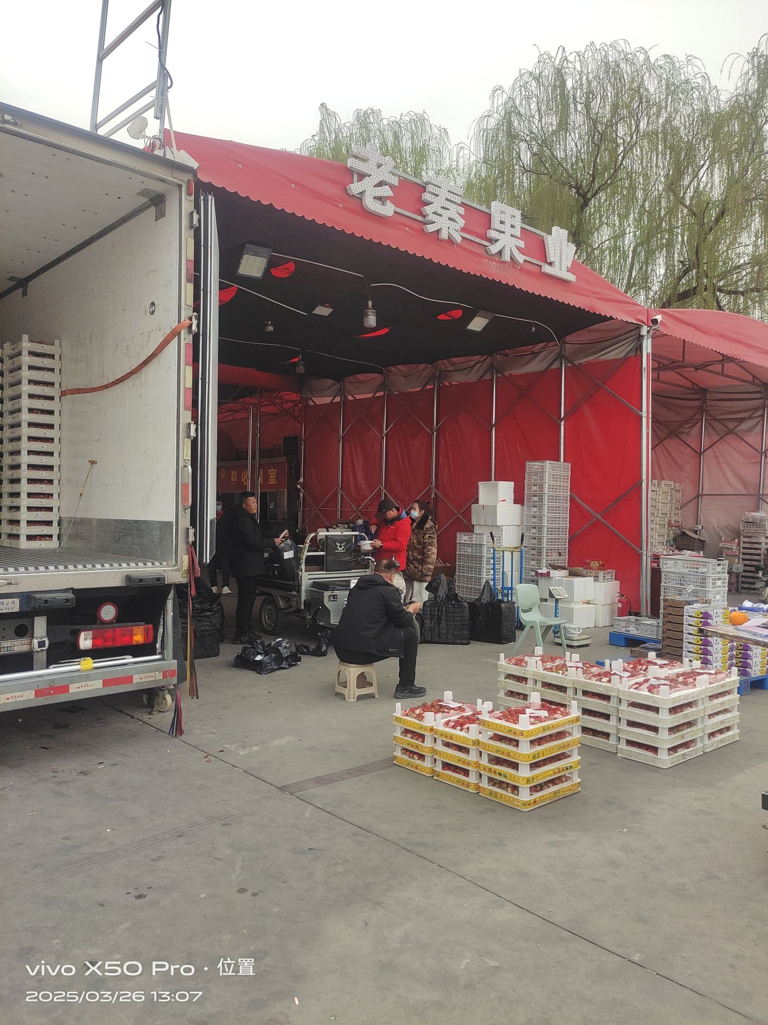 老秦果业(北方农产品中心批发市场店)