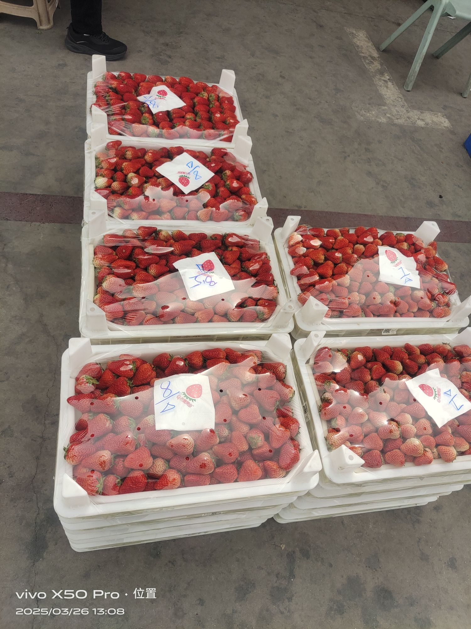 老秦果业(北方农产品中心批发市场店)
