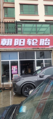 朝阳轮胎(学府茗苑店)