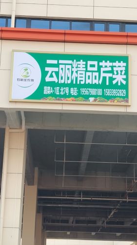 云丽精品芹菜