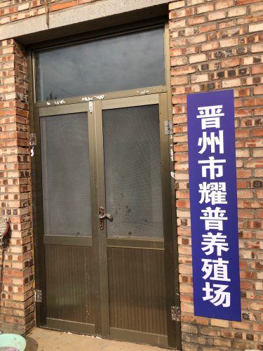 晋州市耀普养殖场