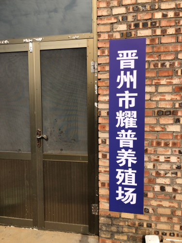 晋州市耀普养殖场