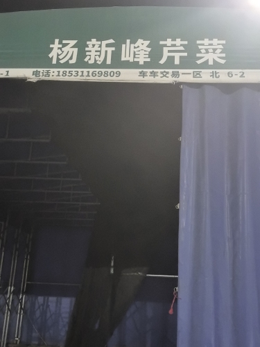 杨新峰精品芹菜
