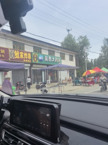 吴泰大药房(X009店)