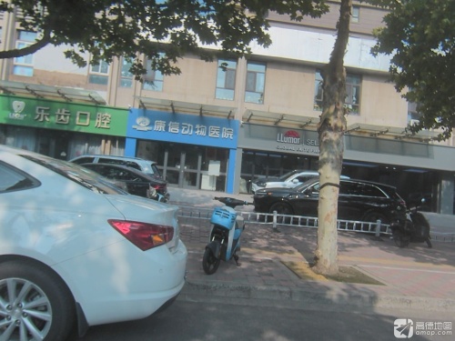 康信动物医院·骨科·24h诊疗中心(石家庄店)