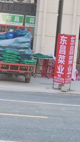 东昌蒜苔