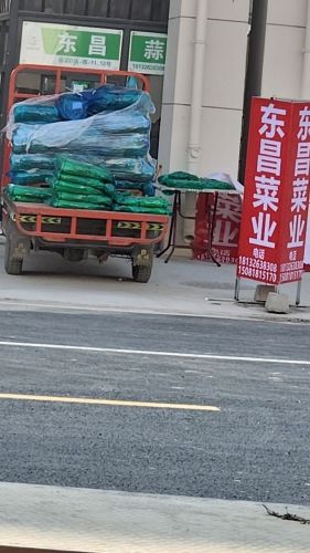 东昌蒜苔