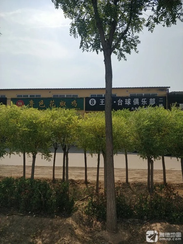 王氏·台球俱乐部