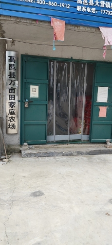 高邑县万亩田家庭农场
