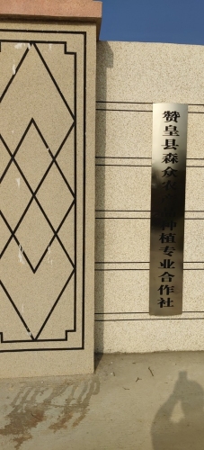 赞皇县森众农产品种植专业合作社