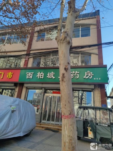 西柏坡大药房(桥东药房)