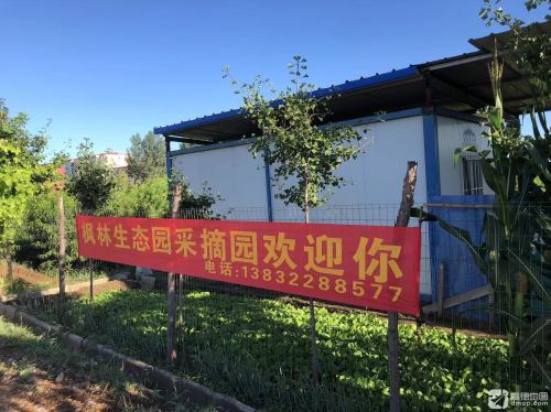 枫林生态园(采摘园)