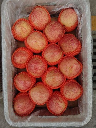 笑笑果品(石家庄国际农产品批发交易中心店)