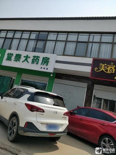 堂泰大药房(齐村店)